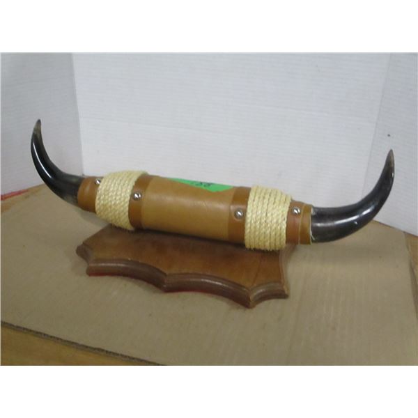 SET OF SMALL HORNS