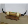 Image 1 : SET OF SMALL HORNS