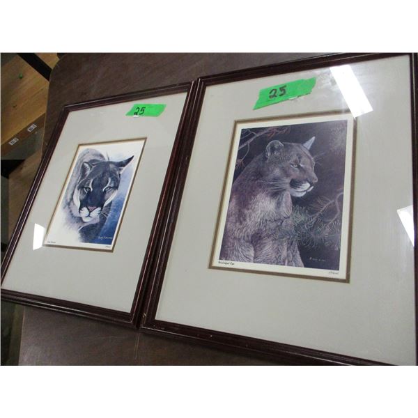 2 PICTURES OF LARGE CATS