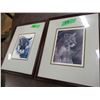 Image 1 : 2 PICTURES OF LARGE CATS