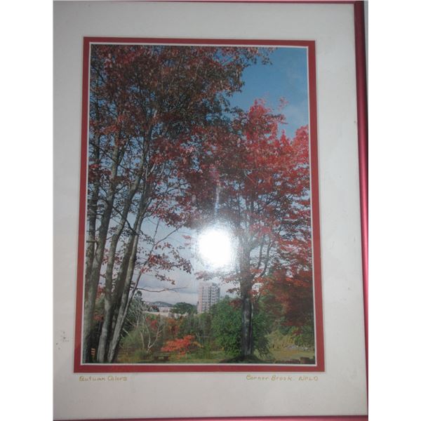 SEIZURE:  CORNERBROOK, NEWFOUNDLAND FRAMED PHOTO