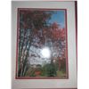 Image 1 : SEIZURE:  CORNERBROOK, NEWFOUNDLAND FRAMED PHOTO