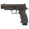 Image 1 : SIG P320 9MM 3.9" AXG LEGION GRY COMP 21RD