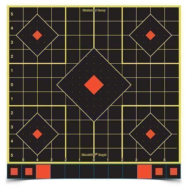 BC SHOOT-N-C 12" SIGHT IN TARGET 100PK