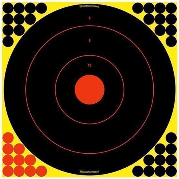 BC SHOOT-N-C 17.25" RND 12 SHEET PK
