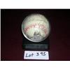 Image 1 : TED WILLIAMS REPLICA BASEBALL