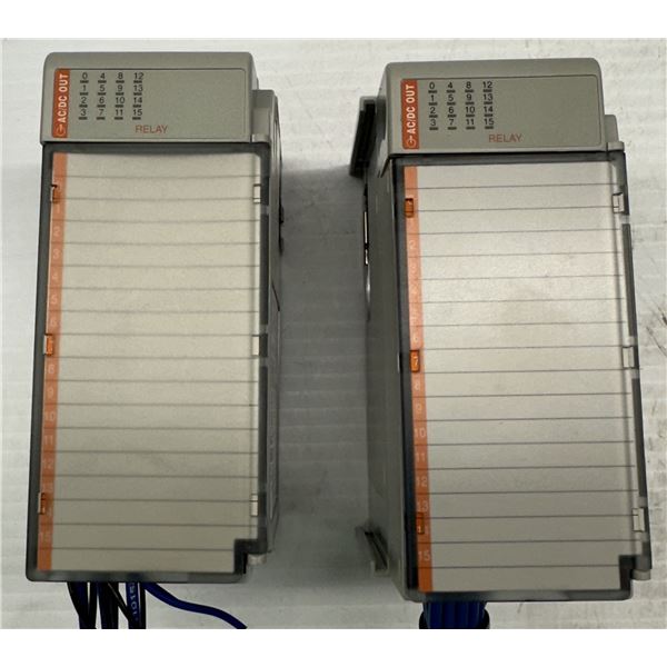 (2) Allen Bradley #1769-OW16 A Relays