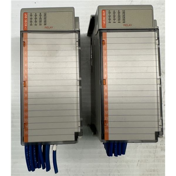 (2) Allen Bradley #1769-OW16 A/2 Relays