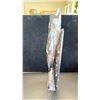 Image 2 : ORTHOCERAS FOSSIL SPECIMEN 14" $1100