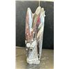 Image 2 : ORTHOCERAS FOSSIL SPECIMEN 8" RETAIL $560