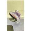 Image 2 : AMETHYST MOON RETAIL $480