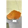 Image 1 : ORANGE CALCITE SPECIMEN APPROX 6X4" RETAIL $1100