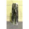 Image 2 : ORTHOCERAS FOSSIL APPROX 12" RETAIL $1100