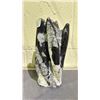Image 2 : ORTHOCERAS FOSSIL APPROX 8" RETAIL $800