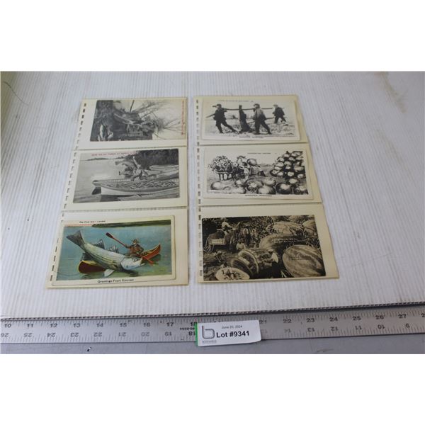 (6) Postcards - Winnipeg, Estevan