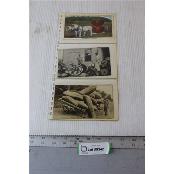 (3) Postcards - Saskatoon, Estevan