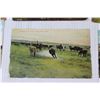 Image 5 : (13) Farming Postcards