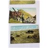 Image 6 : (13) Farming Postcards