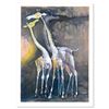 Giraffes by Salomon (1935 - 2014)