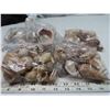 Image 2 : 4 bags of sea shells