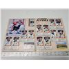 Image 9 : Panini 89-90 Hockey sticker album - appears complete