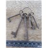 Image 1 : set of iron skeleton keys
