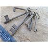 Image 2 : set of iron skeleton keys