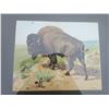 Image 2 : early 1900's litho of bison by A.H. Hider - 28"x25" can not verify authenticity