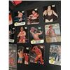 Image 3 : WWE Hostess Vintage Wrestling Stickers Hulk Hogan