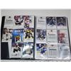 Image 3 : 2018 Binder of UD hockey cards