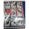 Image 2 : 2015 Binder of Star Rookie hockey cards