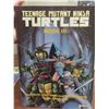 Image 3 : Lot of 3 books - 2 Eastman and lairds turtles adventures series and 1 teenage mutant ninja turtles b