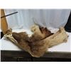 Image 1 : elk hide