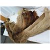Image 2 : elk hide