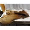 Image 1 : elk hide