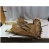 Image 1 : elk hide