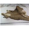 Image 1 : elk hide