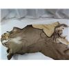 Image 2 : elk hide