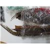 Image 2 : huge lot of feathers and wire for fly fishing hooks