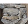 Image 2 : Lot of Fossils