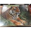 Image 4 : two tiger framed photos and velvet rodriquez painting