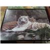 Image 5 : two tiger framed photos and velvet rodriquez painting
