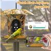Image 1 : Smart Bird Feeder - App Control - HD Camera - Solar Power - Intercom - HD Photo