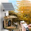 Image 5 : Smart Bird Feeder - App Control - HD Camera - Solar Power - Intercom - HD Photo