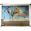 Image 1 : LTD. EDITION SALVADORE DALI LA TENTATION DE SAINT ANTOINE 1946 19/285