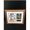 Image 2 : TED WILLIAMS SIGNED AND FRAMED BOSTON RED SOX DISPLAY (CSC COLLECTABLE COA)