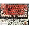 Image 2 : 2009 BC LIONS TEAM SIGNED CUSTOM FRAMED 11 X 14 DISPLAY