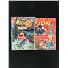 Image 1 : LOT OF 2 COMICS VARIOUS TITLES (INDI COMICS)