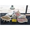 Image 1 : COLLECTION OF ASSORTED SHELLS & SHELL SOAP DISH