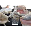 Image 2 : COLLECTION OF ASSORTED SHELLS & SHELL SOAP DISH